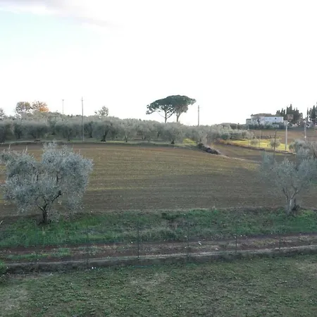 Onorina Κορτόνα